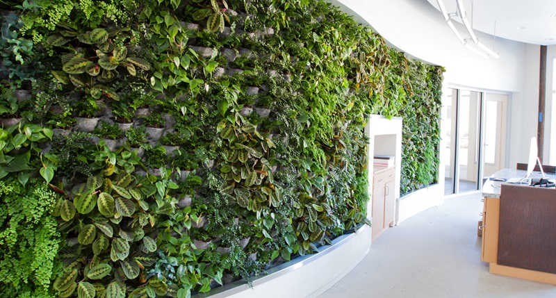 Lobby of Arch Nexus building with plants on the wall