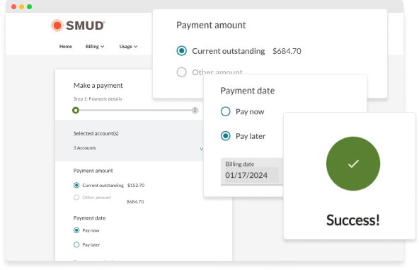 small screenshot of online payment screens