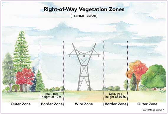 right of way vegetation zones