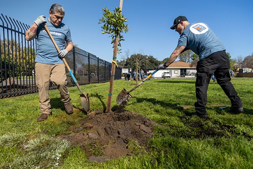 د SMUD کارمندان ونې کري