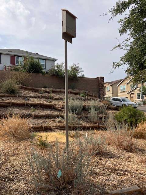 په یوه قطب باندې د بیټ بکس عکس