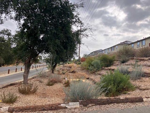 د Orangevale باغ عکس