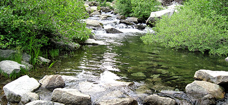 loon dam creek area